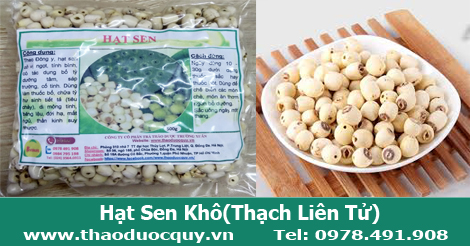 hạt sen kh&ocirc;, thạch li&ecirc;n tử